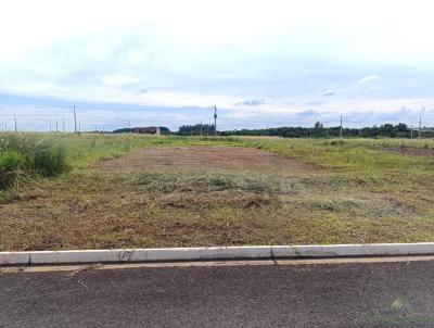 Terreno para Venda, em S�o Gabriel do Oeste, bairro LOTEAMENTO ROSADA