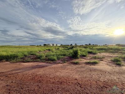 Terreno para Venda, em S�o Gabriel do Oeste, bairro SHEKINA